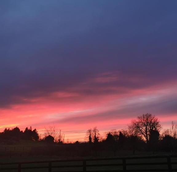 مبيت وإفطار Virginia House