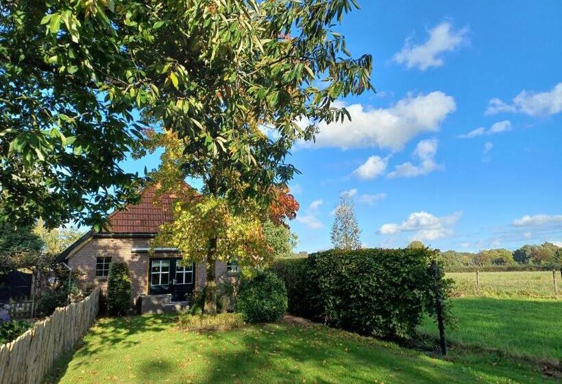 Bed & Breakfast Appenseweg