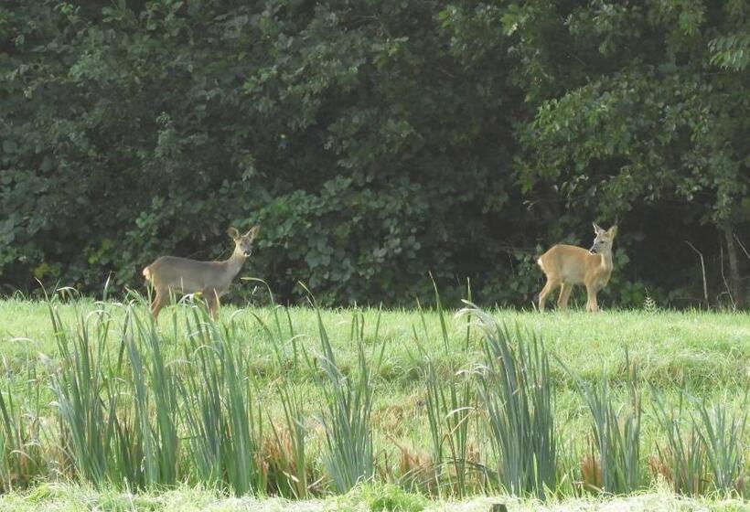 Bed & Breakfast Appenseweg