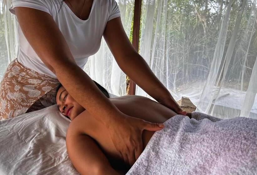 Casa Xue Tayrona   Alma Hotels