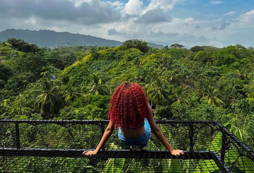 Casa Xue Tayrona   Alma Hotels