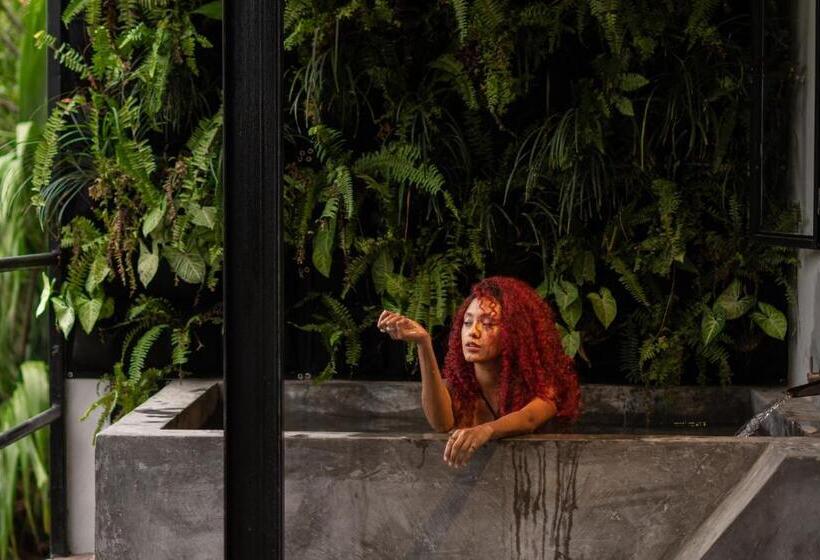 Casa Xue Tayrona   Alma Hotels