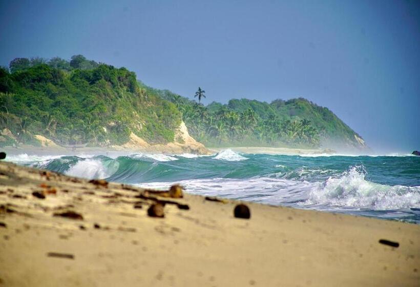 Casa Xue Tayrona   Alma Hotels