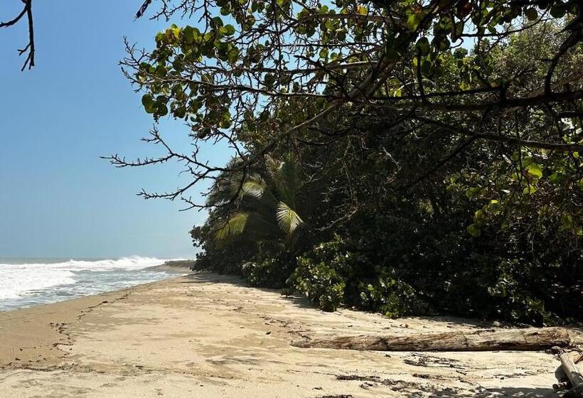 Casa Xue Tayrona   Alma Hotels