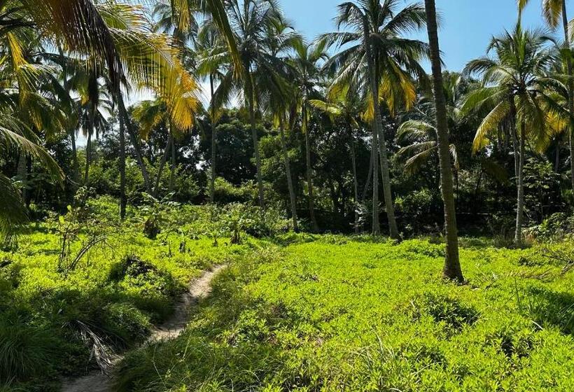Casa Xue Tayrona   Alma Hotels