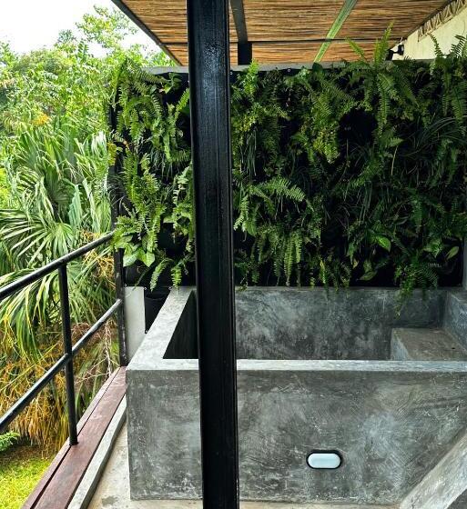 Casa Xue Tayrona   Alma Hotels