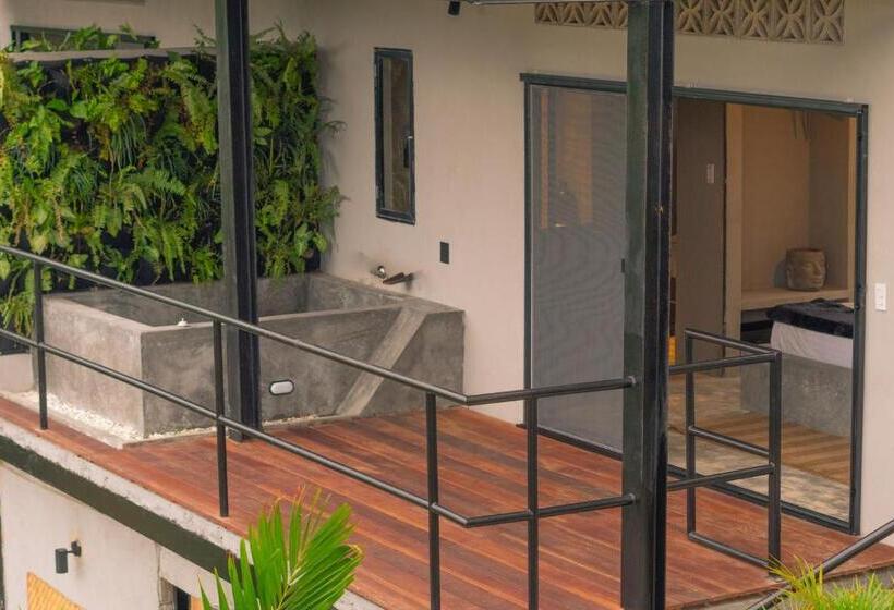 Casa Xue Tayrona   Alma Hotels