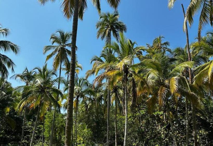 Casa Xue Tayrona   Alma Hotels