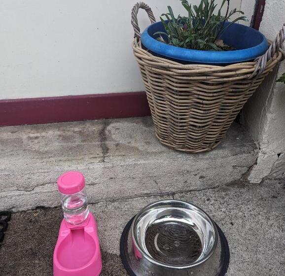 酒店 Auberge Des Pins