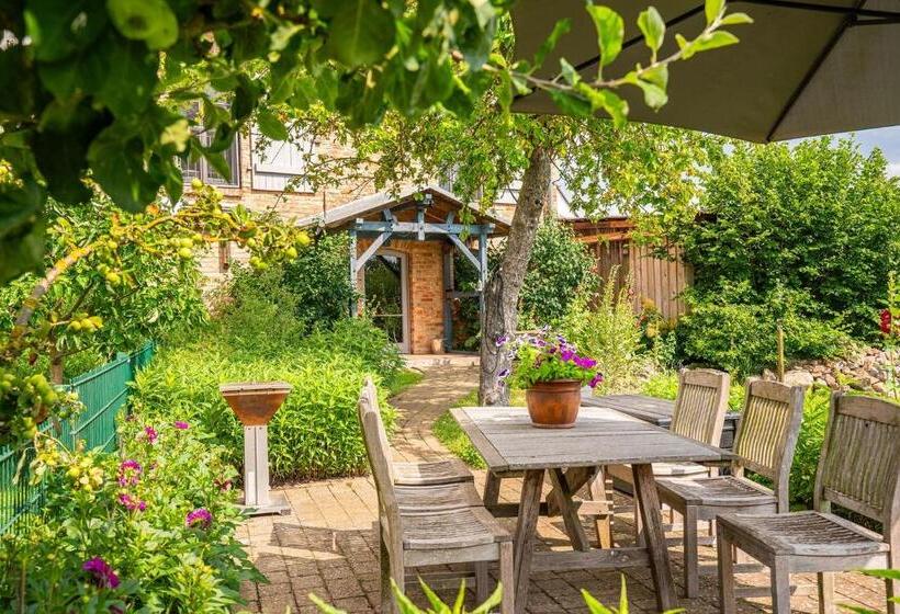 בית מלון כפרי Das Backsteinhus Die Insel Von Ihrer Schönsten Seite