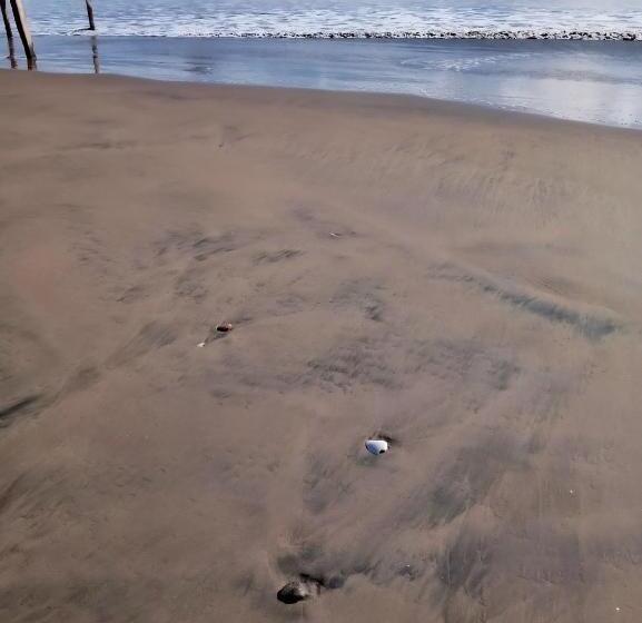 ホテル Casa De Arnold