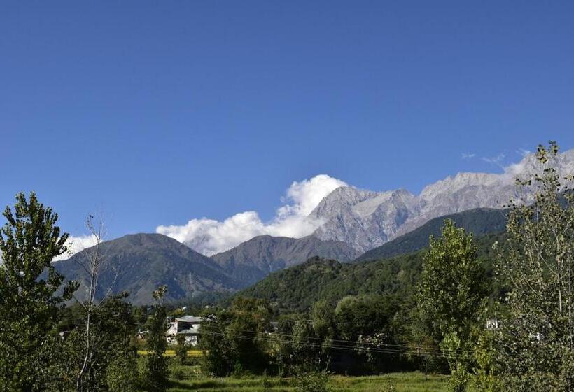 Aotel By Clarks Inn Palampur