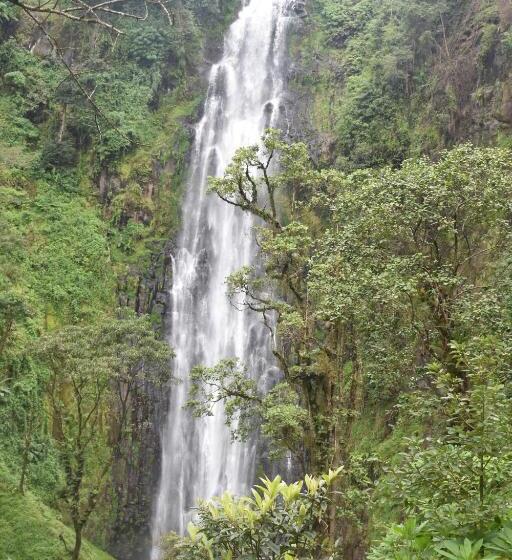 호텔 Kilimanjaro Accommodation
