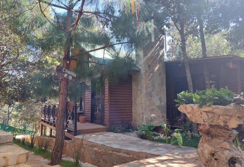 فندق La Cabaña Del Bosque