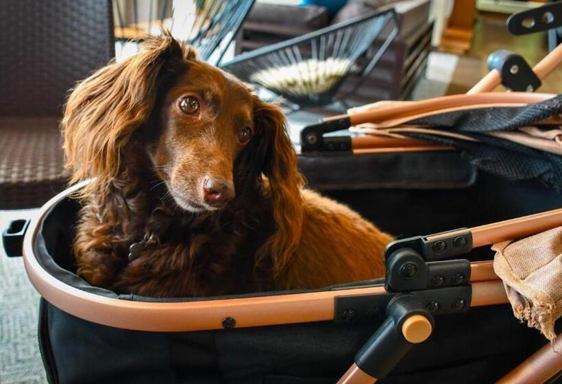 호텔 La Se Ri Resort & Stay   Vacation Stay 63385v