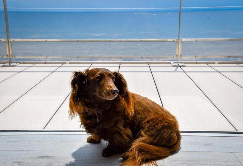 호텔 La Se Ri Resort & Stay   Vacation Stay 63385v