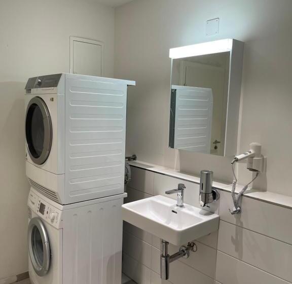 ホテル Swiss Bellevue Aathal