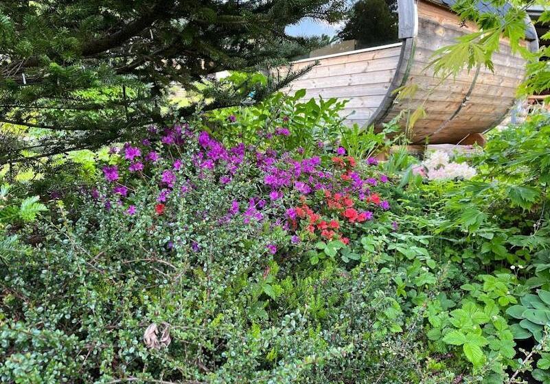 פנסיון Dům Alois   Penzion Pro Děti A Jejich Rodiče