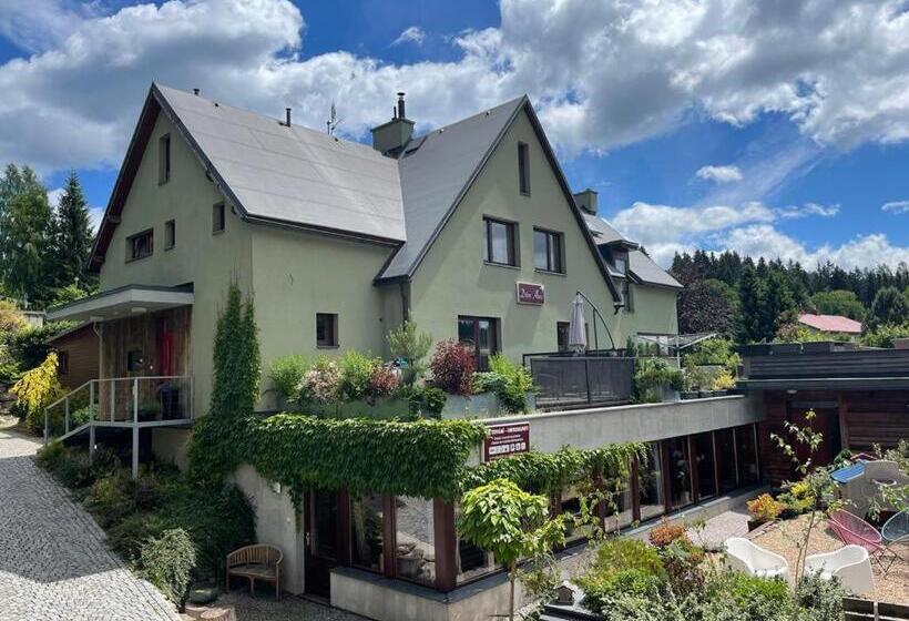 פנסיון Dům Alois   Penzion Pro Děti A Jejich Rodiče