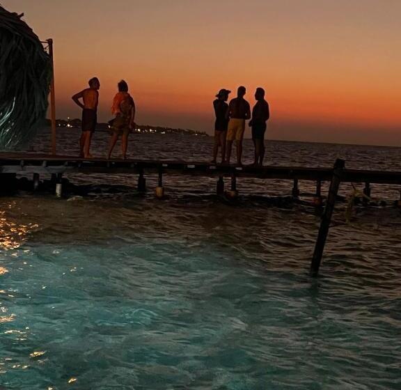 פנסיון El Arca