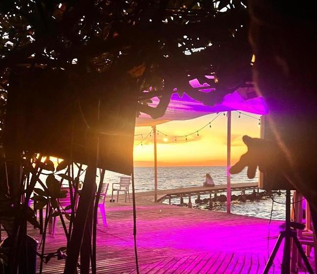 פנסיון El Arca