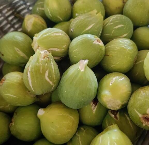 بنسيون Homesweethome, Turismo Rurale