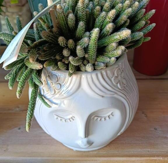 بنسيون Homesweethome, Turismo Rurale