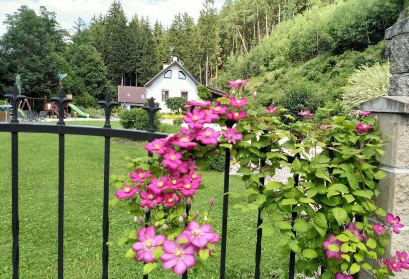 بنسيون Penzion Starý Pivovar