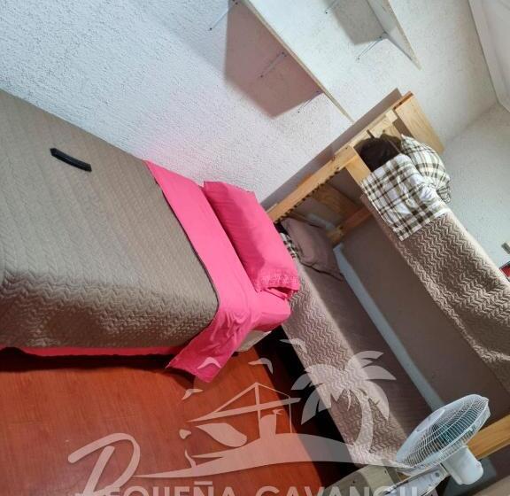 펜션 Pequeña Cavancha Hostal