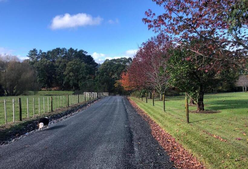 بنسيون Villetta   Matakana Boutique Luxury Accommodation