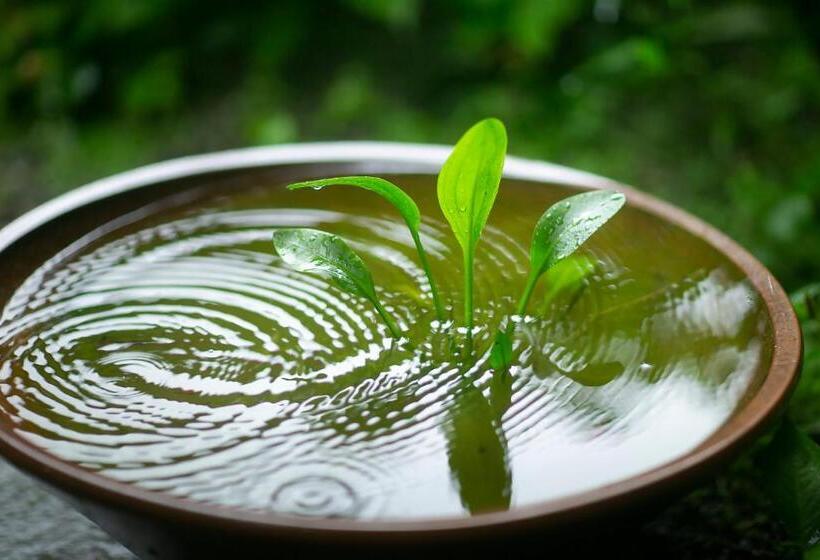 Ryokan 川魚・山菜料理　和田屋
