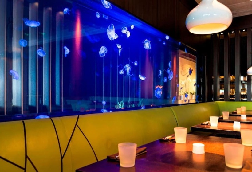 The Marriott W Fort Lauderdale Suite 1907