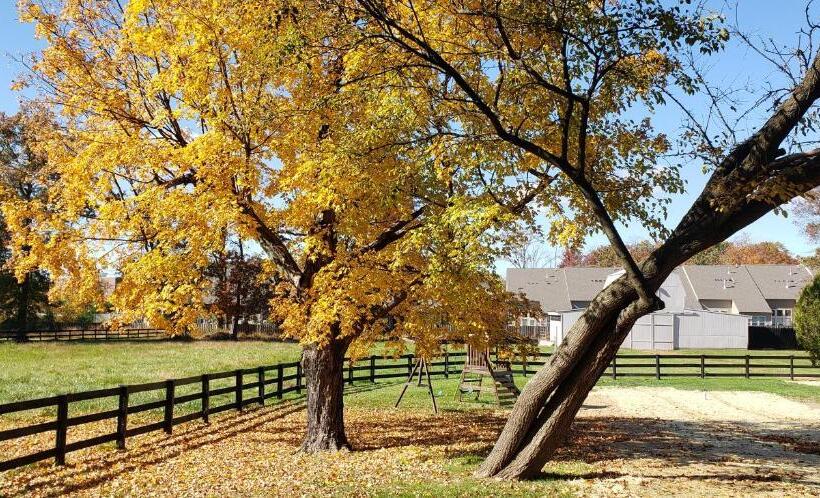 The Rest At Potomac Farms