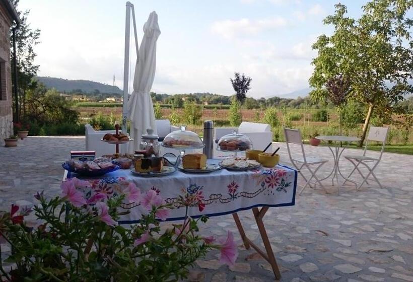 Agriturismo Il Pioppeto