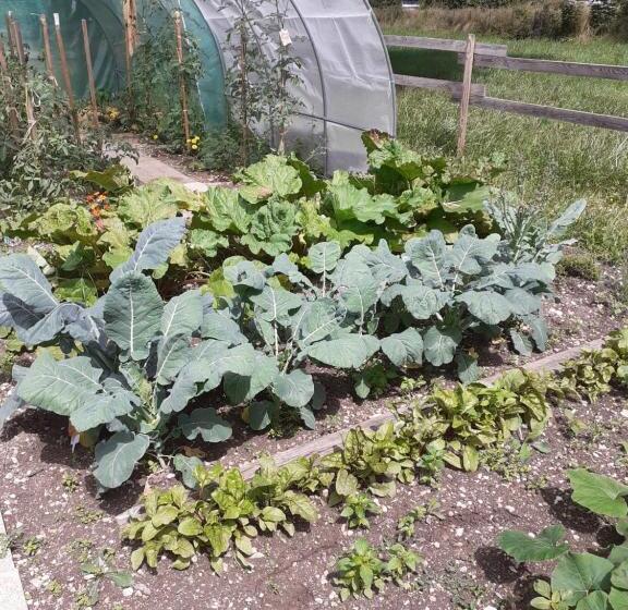 مبيت وإفطار La Maison Du Canal