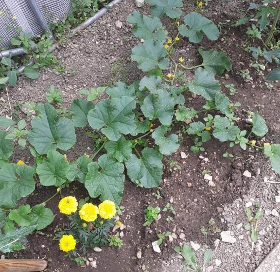 مبيت وإفطار La Maison Du Canal