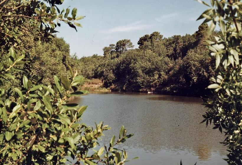 צימר Abbaye De Capservy