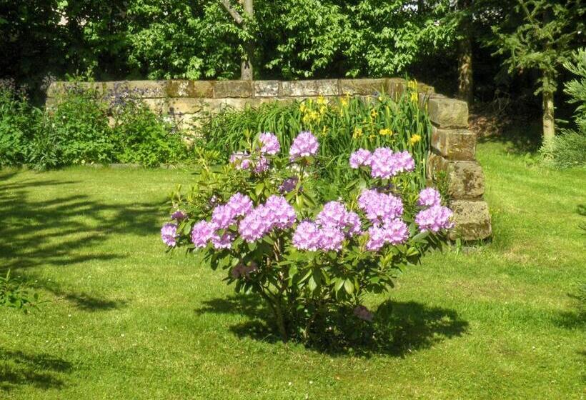 ベッドアンドブレックファースト Am Lindenbaum