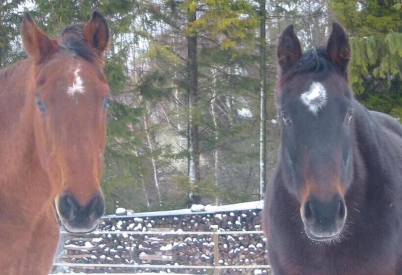 مبيت وإفطار Au Pré Du Moulin