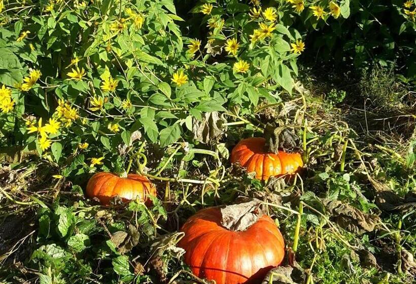 مبيت وإفطار Au Pré Du Moulin