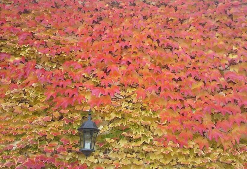 مبيت وإفطار Au Pré Du Moulin
