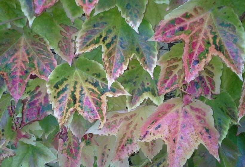 مبيت وإفطار Au Pré Du Moulin