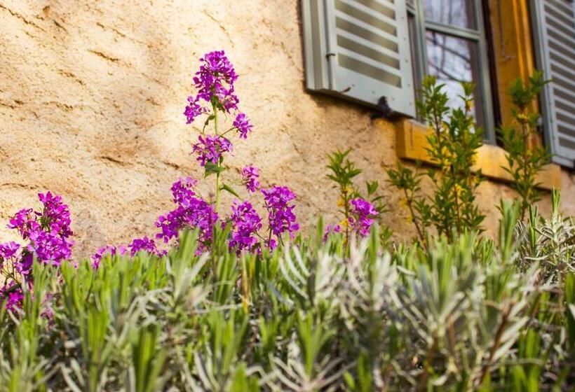 צימר Aux Ronzières