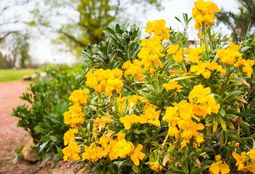 צימר Aux Ronzières