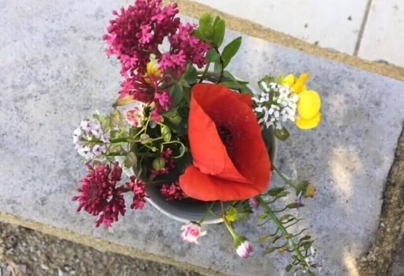 צימר Bergerie De Lagarrigue