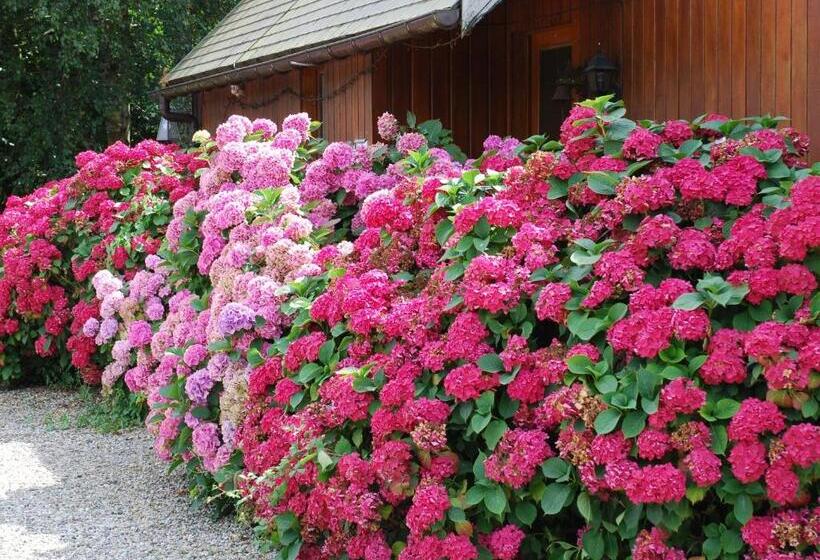 Bed and Breakfast Chambres D Hôtes De Creulet