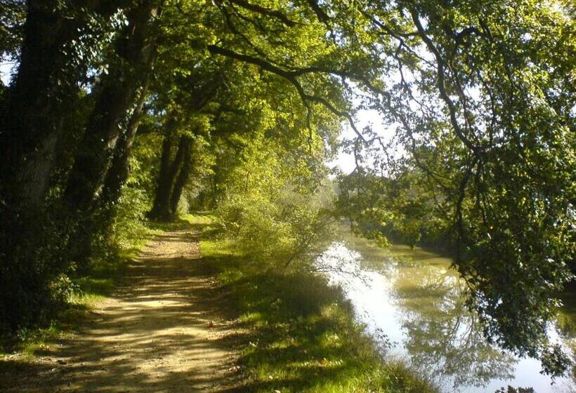住宿加早餐  Chambres D Hôtes Etang De L Aiguille