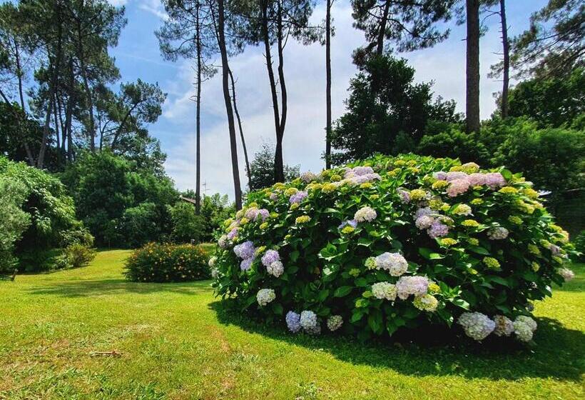 住宿加早餐 Chambres D Hôtes Etang De L Aiguille