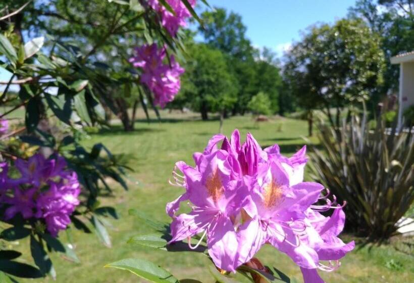 住宿加早餐 Chambres D Hôtes Etang De L Aiguille
