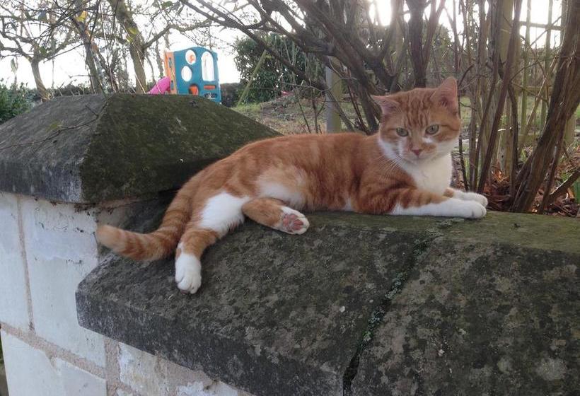 住宿加早餐 Au Prince Grenouille